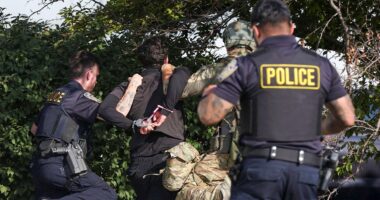 Over a dozen arrested at anti-ICE protests in Chicago suburb
