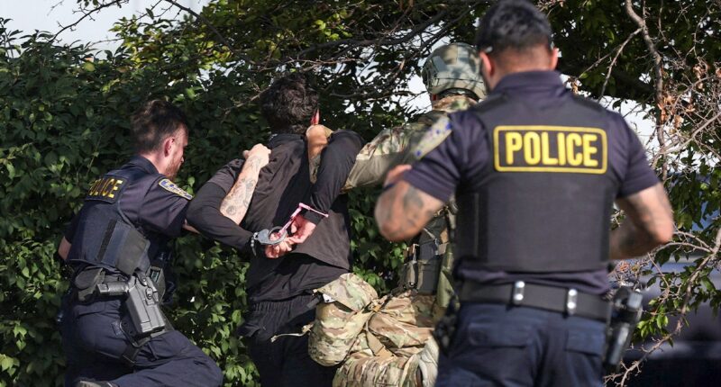 Over a dozen arrested at anti-ICE protests in Chicago suburb