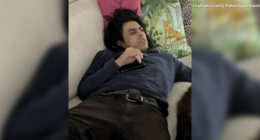 Person of interest in Wilmington Island homicide in police custody