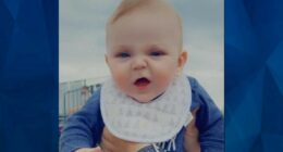 Pit Bull Attacks Neighborhood Child & Owner Ignores Warnings Before Dog Kills His Infant Son
