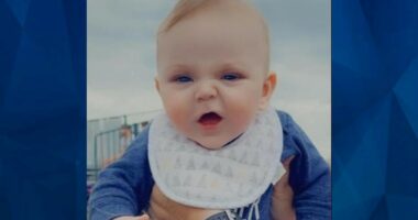 Pit Bull Attacks Neighborhood Child & Owner Ignores Warnings Before Dog Kills His Infant Son