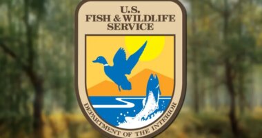 Planned Trump staffing cuts loom over National Park Service, Fish and Wildlife, Land Management