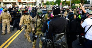 Portland police chief touts 'crowd support' approach as ICE facility faces ongoing violence