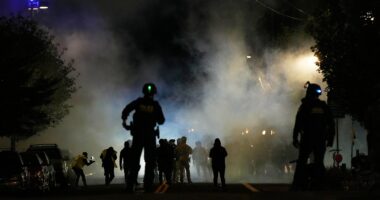 Portland police sergeant appears to criticize assault victims for antagonizing anti-ICE protesters