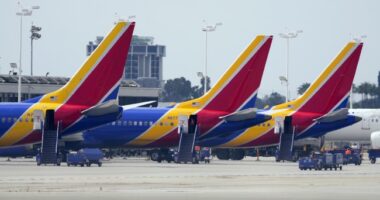 Pressure Intensifies on Senate Democrats to End the Schumer Shutdown After Pilots Take Action