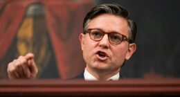 Pressure growing on Johnson to call House back amid shutdown fight