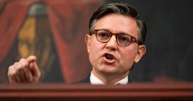 Pressure growing on Johnson to call House back amid shutdown fight