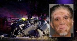 Previously deported blue state driver charged with murdering six people in crash: report