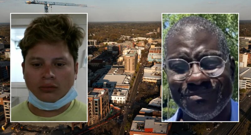 Previously deported illegal immigrant allegedly kills man in hit-and-run after returning to US: DHS