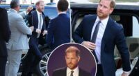 Prince Harry's stalker came within feet of the duke during recent UK visit