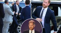 Prince Harry's stalker came within feet of the duke during recent UK visit