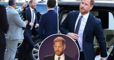 Prince Harry's stalker came within feet of the duke during recent UK visit