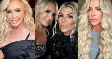 RHOC’s Shannon Beador Addresses Alexis Wedding Drama, Tamra Saying Jenn Has to Follow Shannon’s Rules, & Vicki Having Alexis on Podcast, Plus Possible Friendship With Katie & Reunion