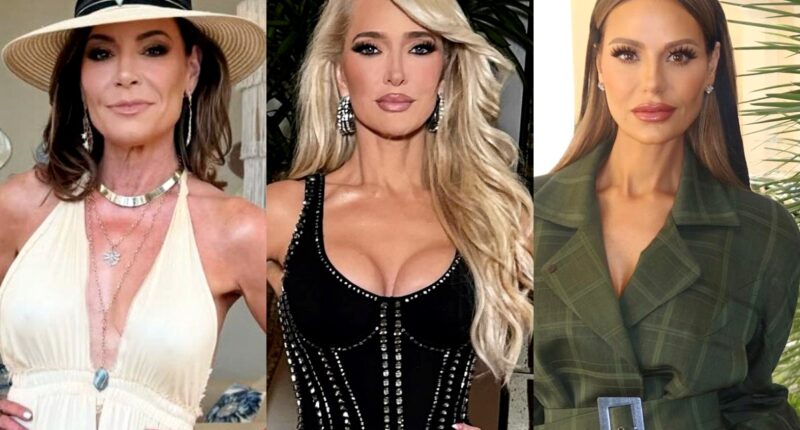 Luann de Lesseps Slams Erika Jayne as "Rudest" Bravolebrity, Calls Her a "B*tch" & Says Dorit Kemsley is "Not the Nicest" Either