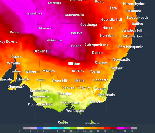 Maximum temperatures for next Tuesday showing temperatures as high as 44 degrees in pink.