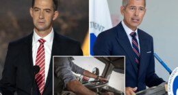 Republicans demand probe of trucker licensing 'mills' after deadly crashes with illegal immigrant drivers