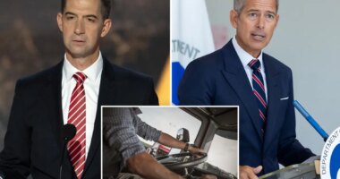 Republicans demand probe of trucker licensing 'mills' after deadly crashes with illegal immigrant drivers