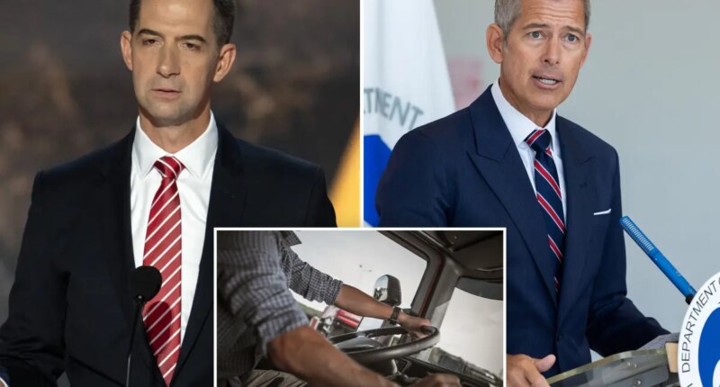 Republicans demand probe of trucker licensing 'mills' after deadly crashes with illegal immigrant drivers