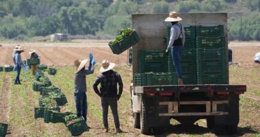 Rollins touts 'big announcement' as USDA readies to unfreeze $3B for farmers