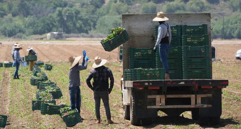 Rollins touts 'big announcement' as USDA readies to unfreeze $3B for farmers