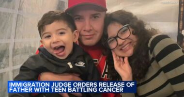 Ruben Torres Maldonado, detained by federal immigration agents in Niles while daughter has cancer, released