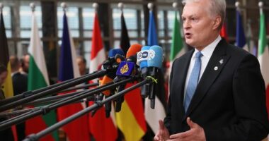 Russian warplanes accused of violating Lithuanian air space