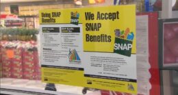 SNAP benefits November: Donald Trump admin. won't tap contingency fund for food aid amid government shutdown 2025, memo says