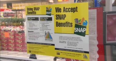 SNAP benefits November: Donald Trump admin. won't tap contingency fund for food aid amid government shutdown 2025, memo says