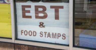 SNAP changes: Here's who could lose benefits in November