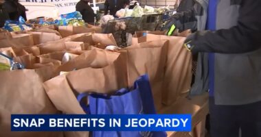 SNAP food aid shutdown: Governor JB Pritzker signs order supporting Illinois residents who rely on SNAP benefits