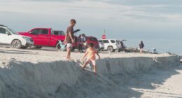 Sand cliffs in Fernandina Beach