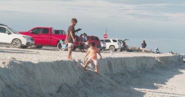 Sand cliffs in Fernandina Beach