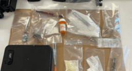 Sarasota man arrested after nearly 90 grams of fentanyl found in car, police say