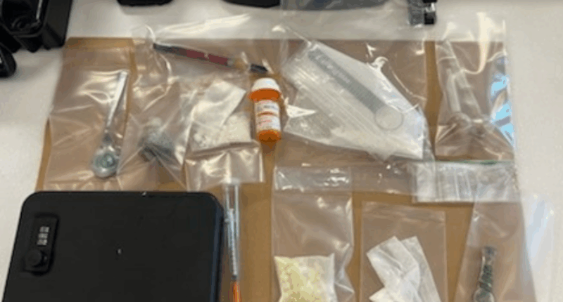 Sarasota man arrested after nearly 90 grams of fentanyl found in car, police say