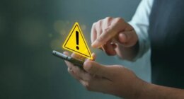 Scammers targeting owners of lost pets in Indianapolis