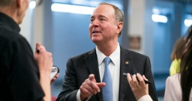 Schiff on Trump’s perceived retribution campaign: ‘We will not be intimidated’