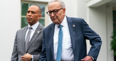 Schumer, Clinton give Trump credit for Gaza ceasefire, hostage release