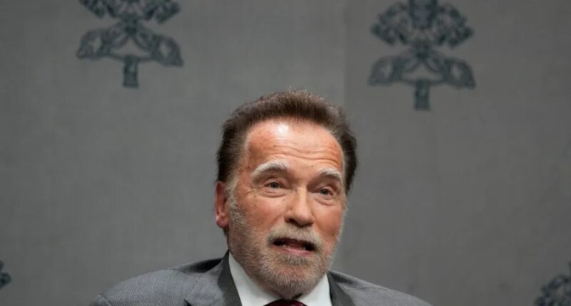 Schwarzenegger: Newsom’s California redistricting push ‘a big scam’