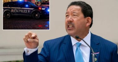 Seattle Mayor Bruce Harrell rejects locking up repeat criminals during tense debate