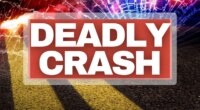Semi-trailer crashes into a van on Georgia highway, killing 7
