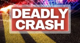 Semi-trailer crashes into a van on Georgia highway, killing 7