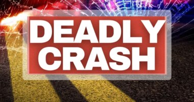 Semi-trailer crashes into a van on Georgia highway, killing 7