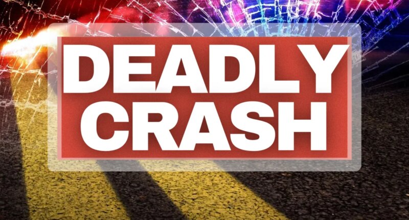 Semi-trailer crashes into a van on Georgia highway, killing 7