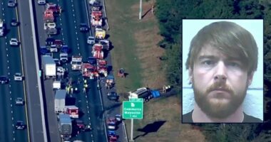 Semitruck driver caused crash killing 5 kids: Police