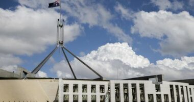 Sensitive parliamentary documents handed to private company against risk advice