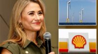 Shell US chief says Trump's halting of wind projects harms investment: report