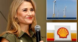 Shell US chief says Trump's halting of wind projects harms investment: report