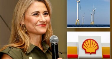 Shell US chief says Trump's halting of wind projects harms investment: report