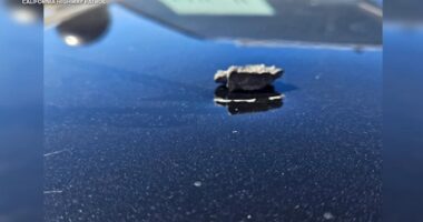 Shrapnel hit CHP vehicle during Marine Corps' Camp Pendleton live fire event with VP JD Vance in attendance, department says