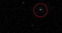 Space agency breaks silence on 'foreign' interstellar visitor
